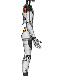 humanoid-robot